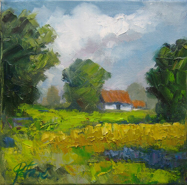 Farm in the spring by Petrić Gordan