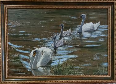swans by Malbašić Verica