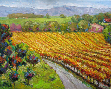 View of the vineyards by Petrić Gordan