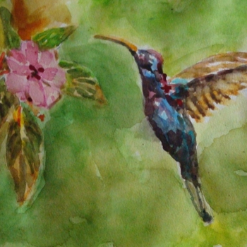 Hummingbird by Nelson Chale Cuéllar